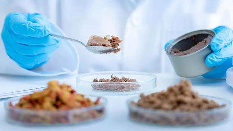 What’s Really in Dry Dog Food? The Shocking Truth About Hidden Contaminants In Some Dry Dog Food