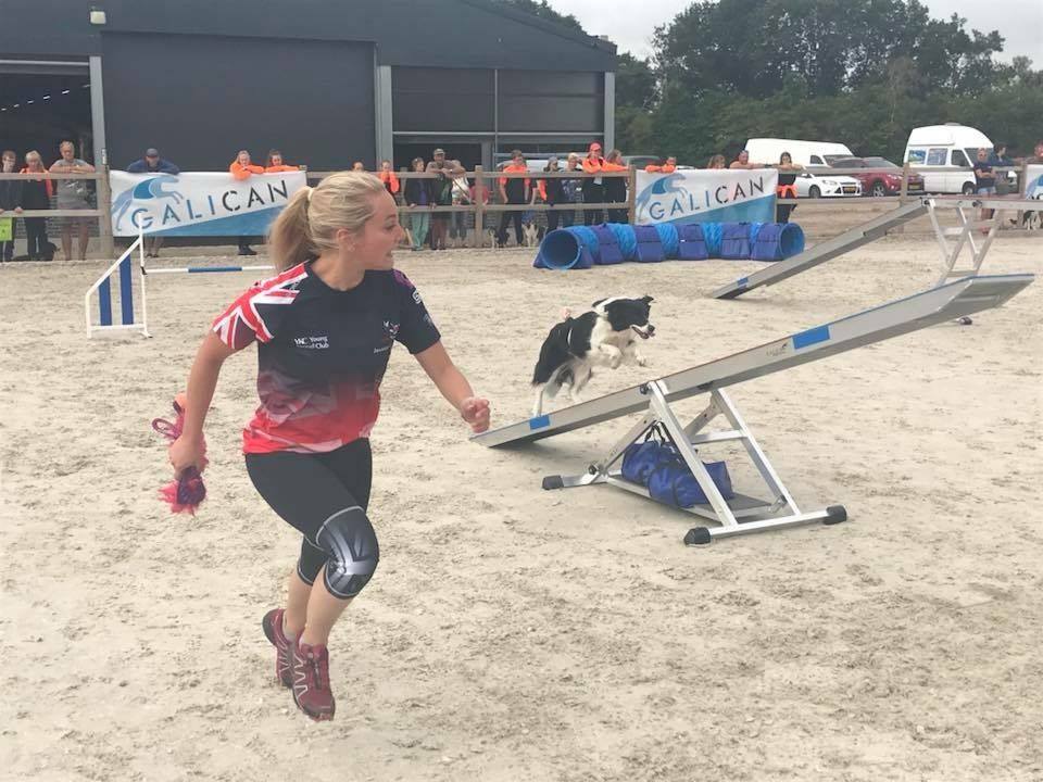 Jess Cuthbertson Agility Series: Life as a Young Kennel Club Competitor