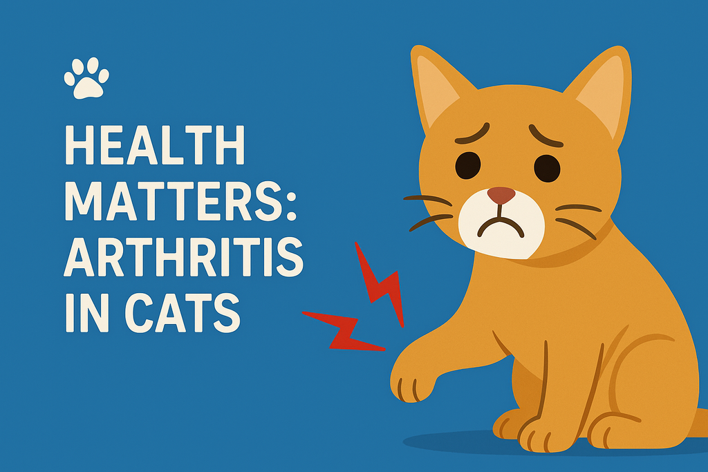 Health Matters: Arthritis in Cats