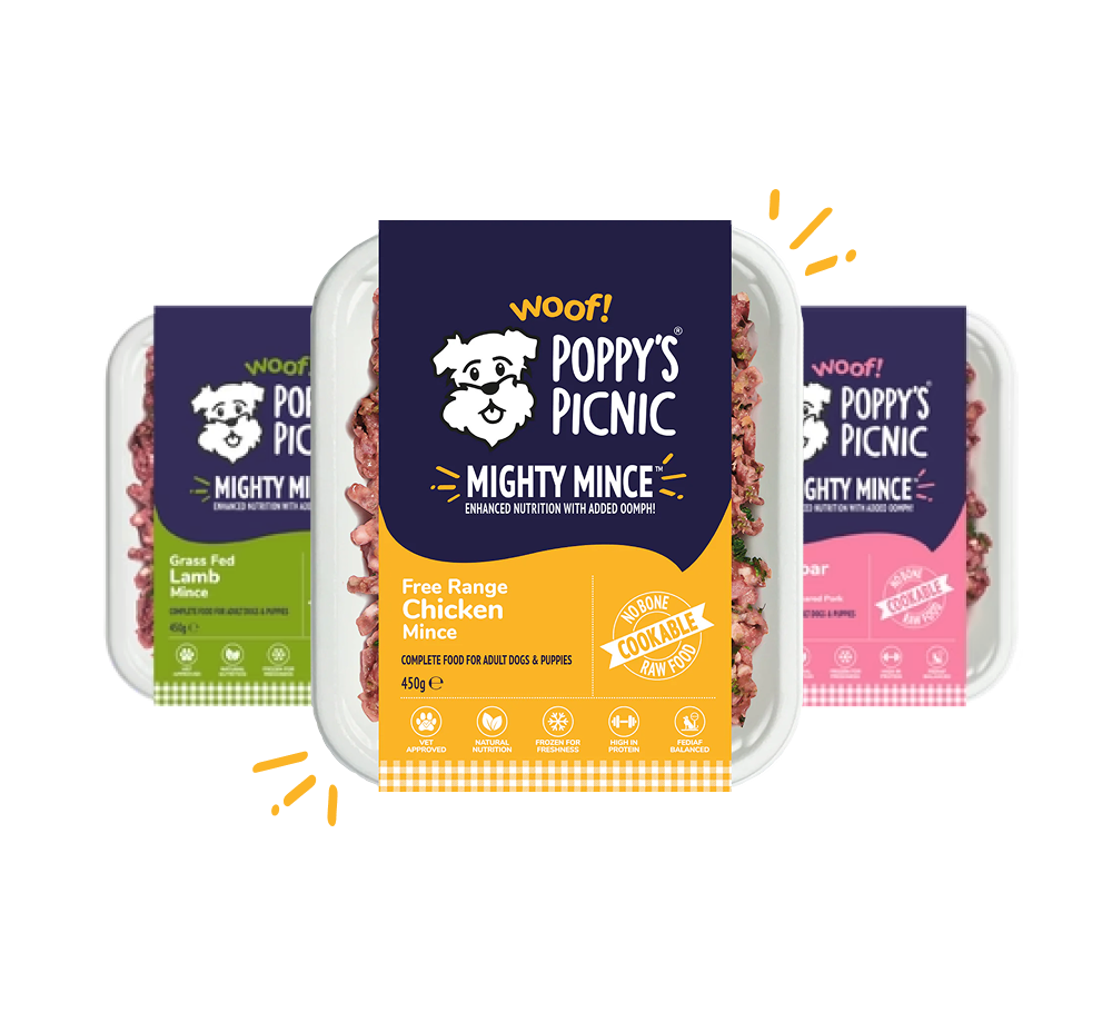 Nutritious Hearty Mince Options for Dogs – Poppy's Picnic