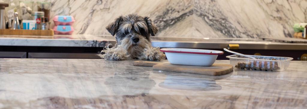 Raw Feeding Dogs – Handling Raw Dog Food At Home