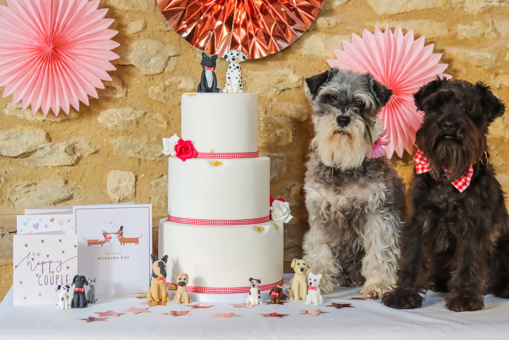 Woof Weddings: You may SNIFF the bride!