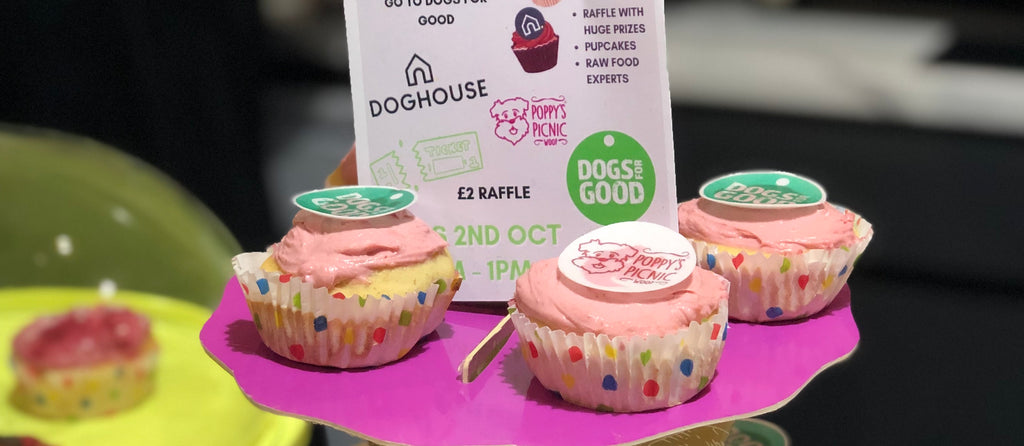 Poppy’s Picnic and DOGHOUSE Raise Donations for Dogs For Good