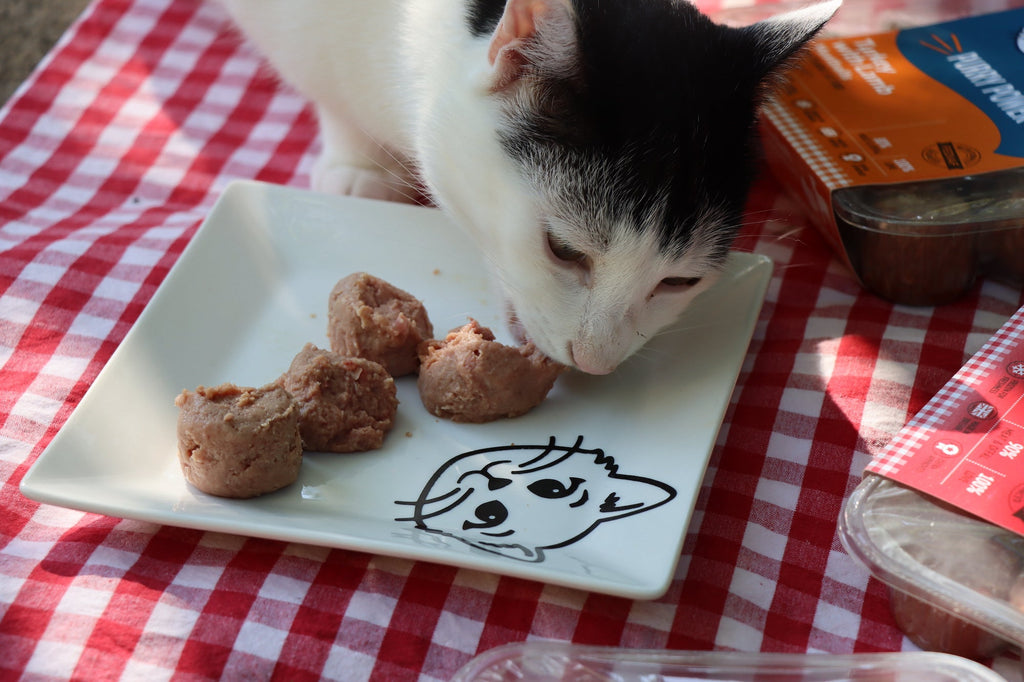 Purry Power Meals for Cats: A Review