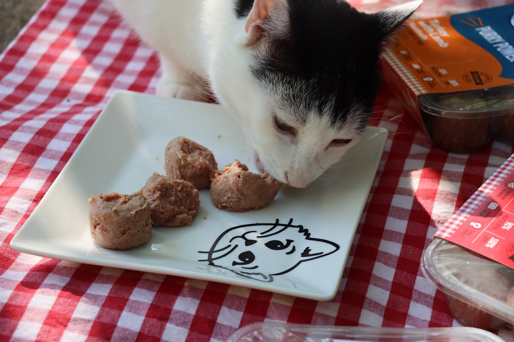 Choosing Quality Raw Cat Food for Your Feline