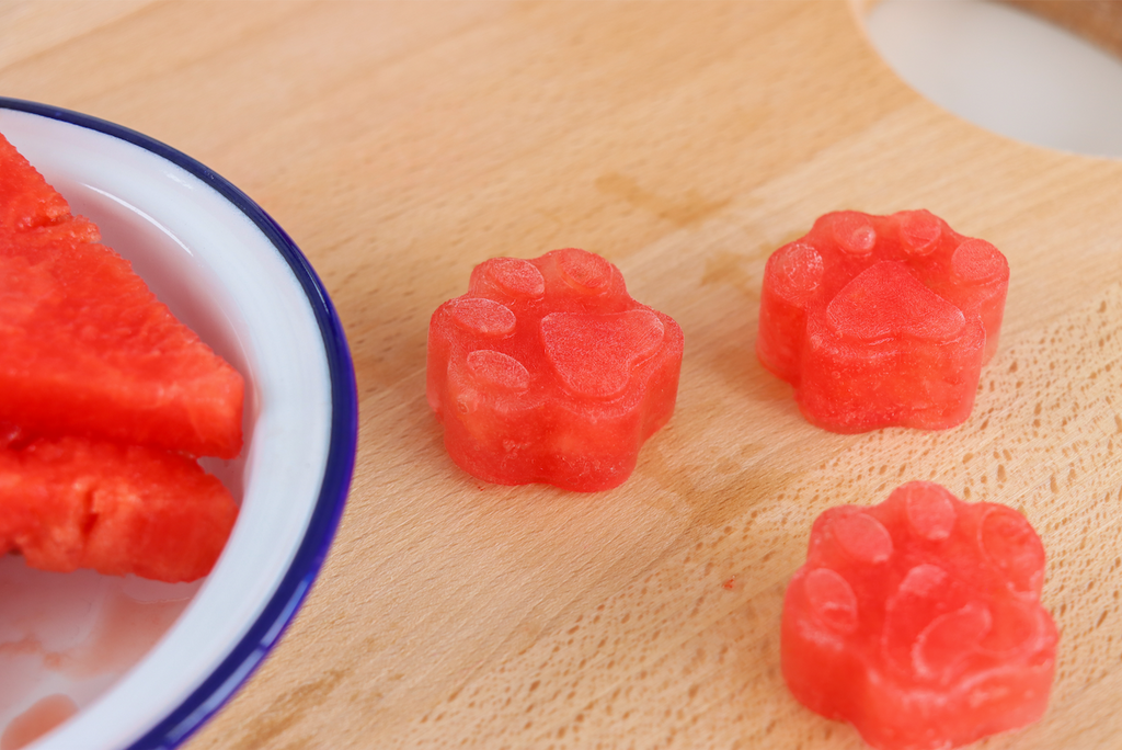 Poppy's Mouth Watering Watermelon Paws