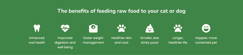 The Science Behind Raw Food for Dogs: Why It Matters