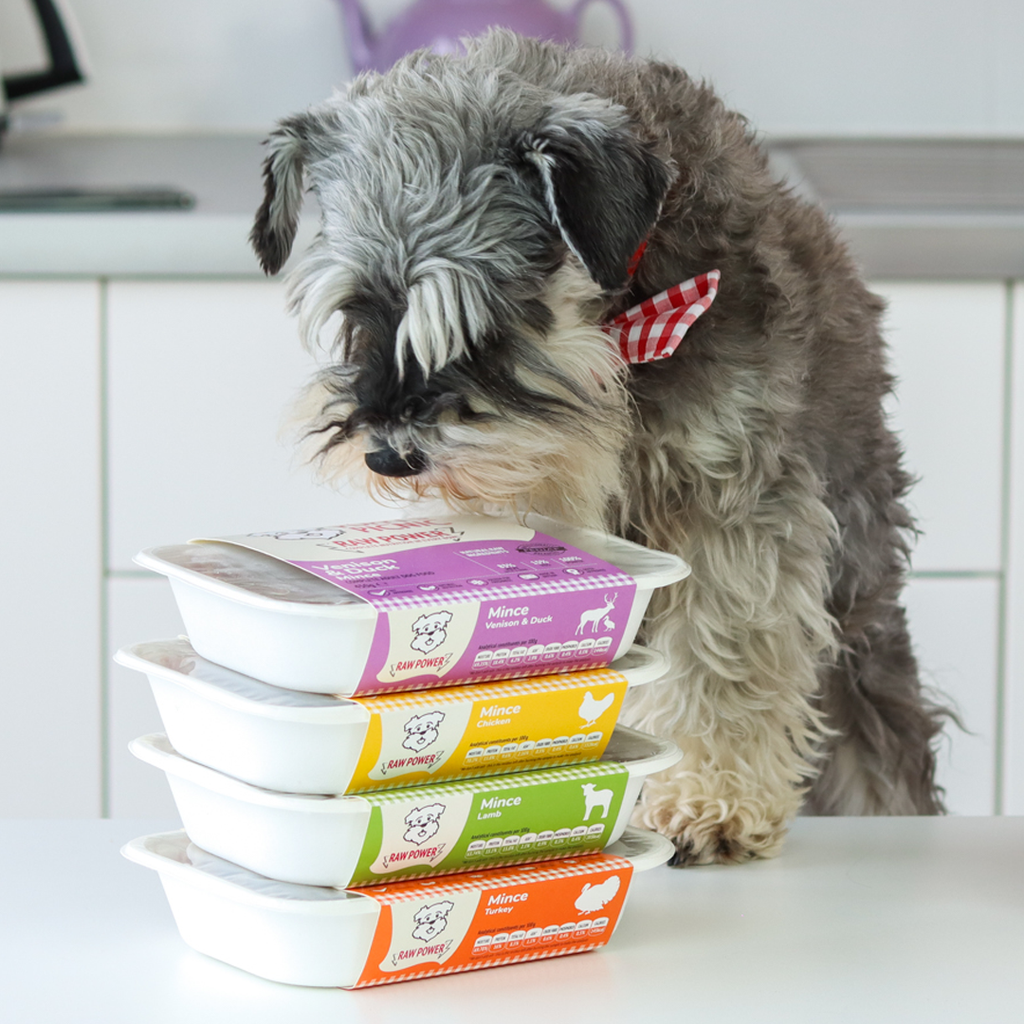 Lights, Camera Action! Show love for our FEDIAF balanced raw dog food ranges