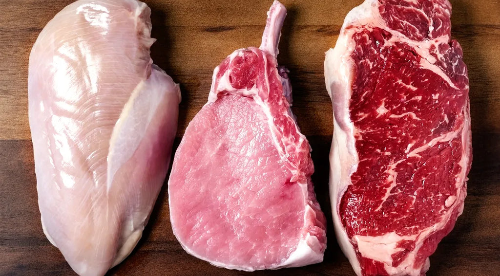 Choosing the Best Protein for Your Raw Dog Food