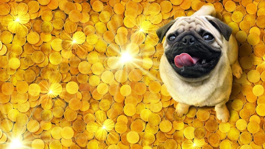 How Much Does It Cost to Own a Dog?