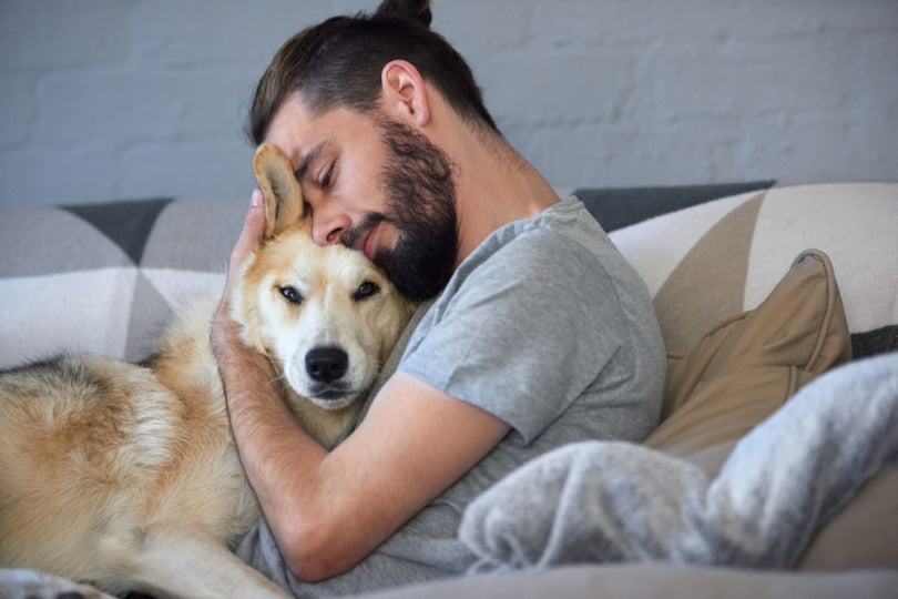 Stressed? Get a pet!