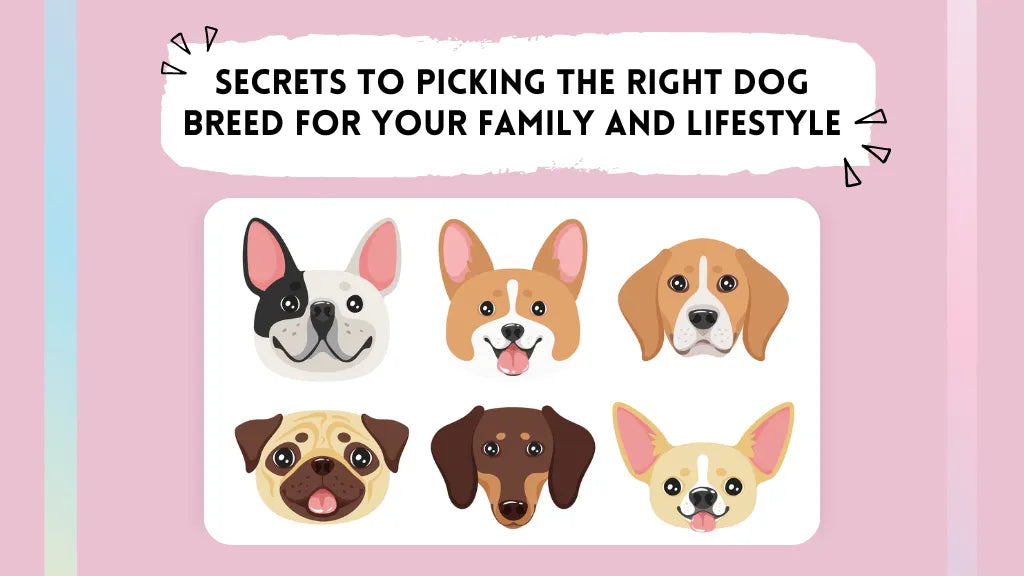 How Do I Choose the Right Dog for My Lifestyle?