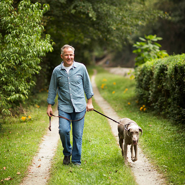 The Impact of Dog Food on Your Pet’s Behaviour