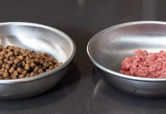 Debunking Myths: Raw Dog Food Truths