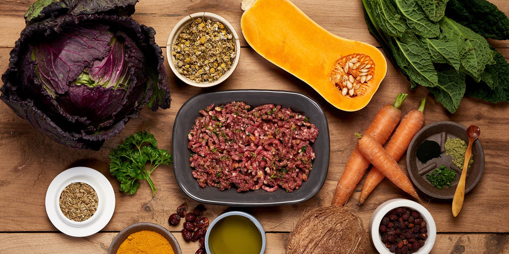 Unlocking the Secrets of Raw Dog Food Ingredients