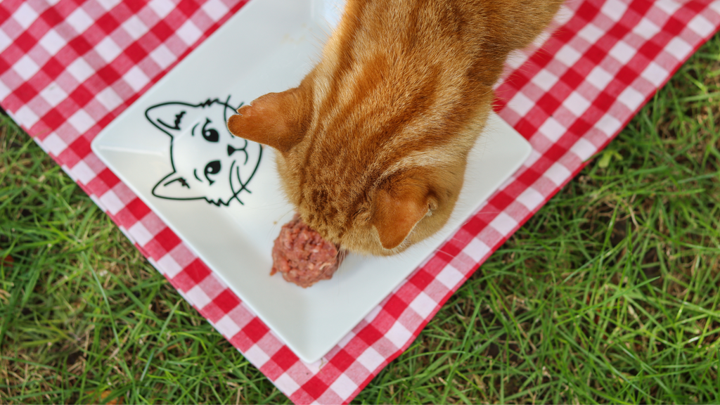 A ginger cats head leans in frame towards a small meatball on a plate. The plate has a black cat on it and sits on a gingham red tablecloth