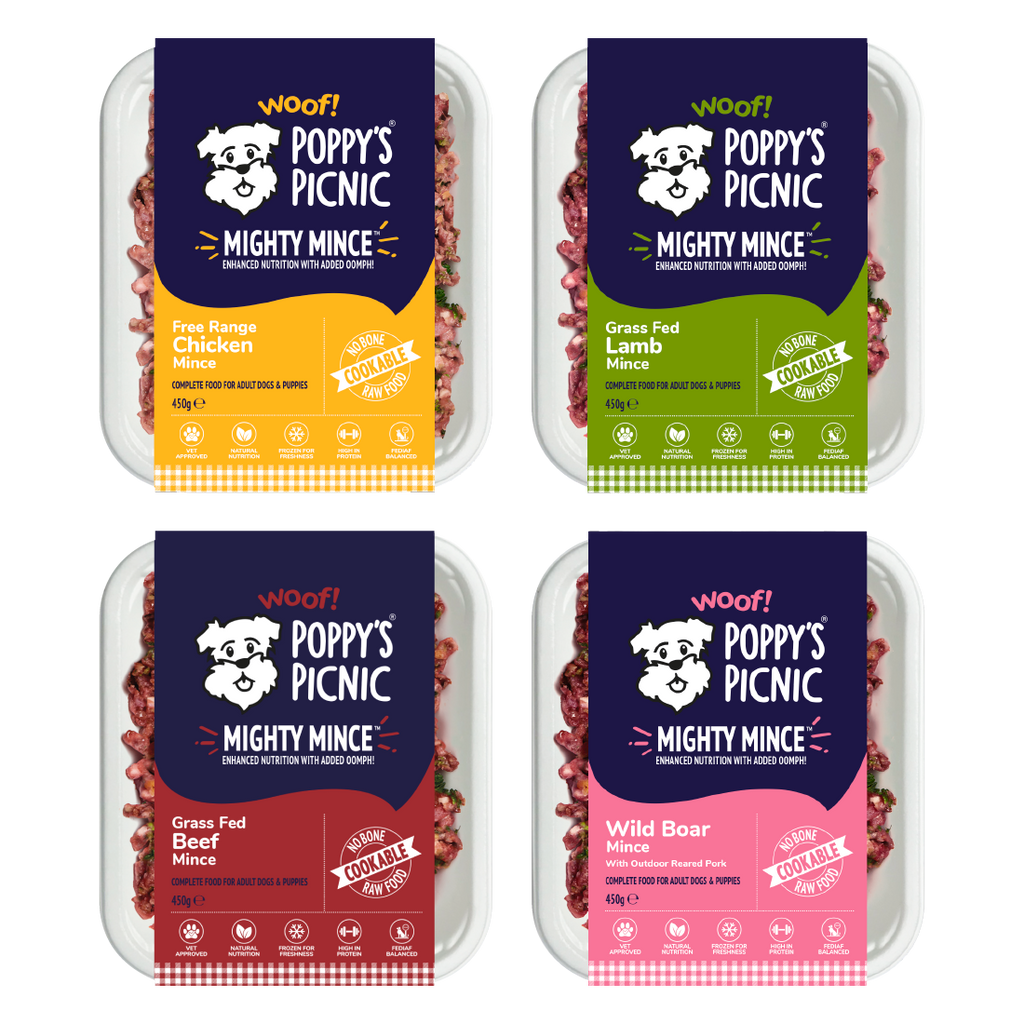 Healthy Cookable Mince Options for Fussy Dogs