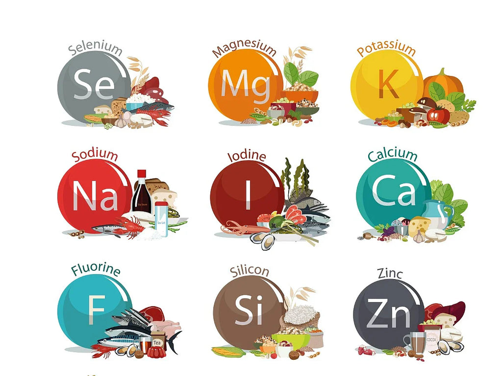 Nutritional Requirements for Dogs on a Raw Diet