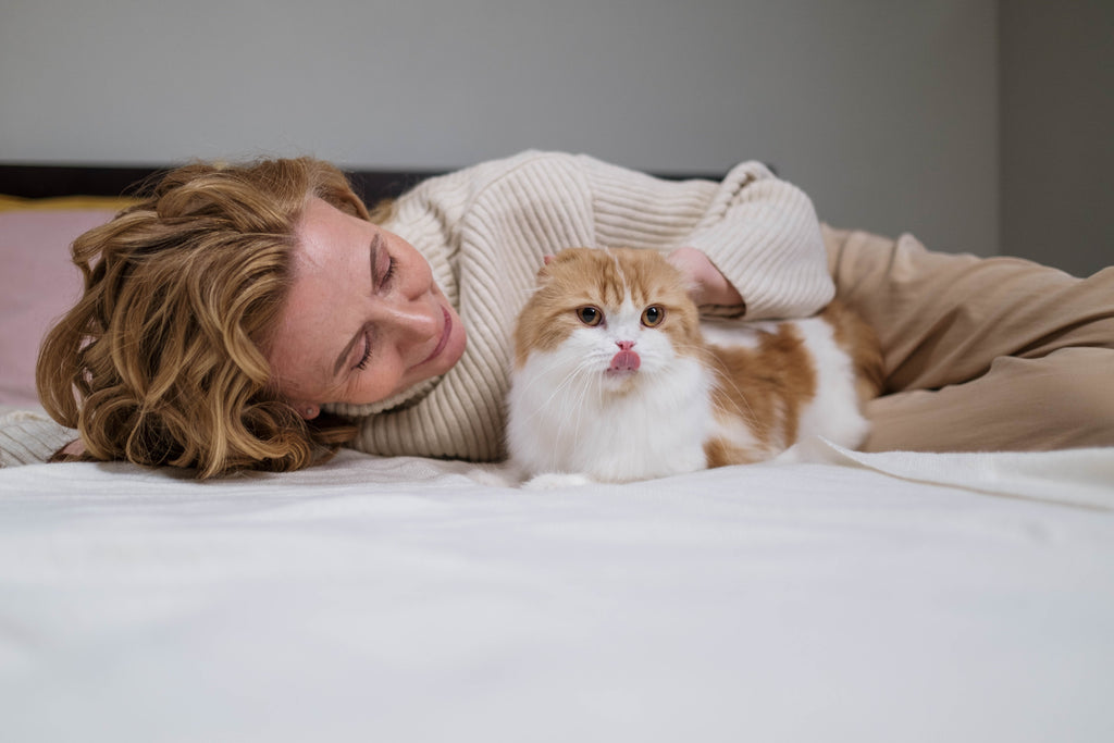 Debunking Raw Cat Food Feeding Myths: Truth Revealed