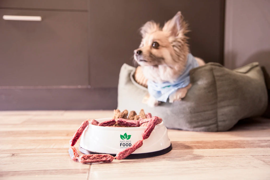 Boosting Dog Energy The Raw Food Revolution
