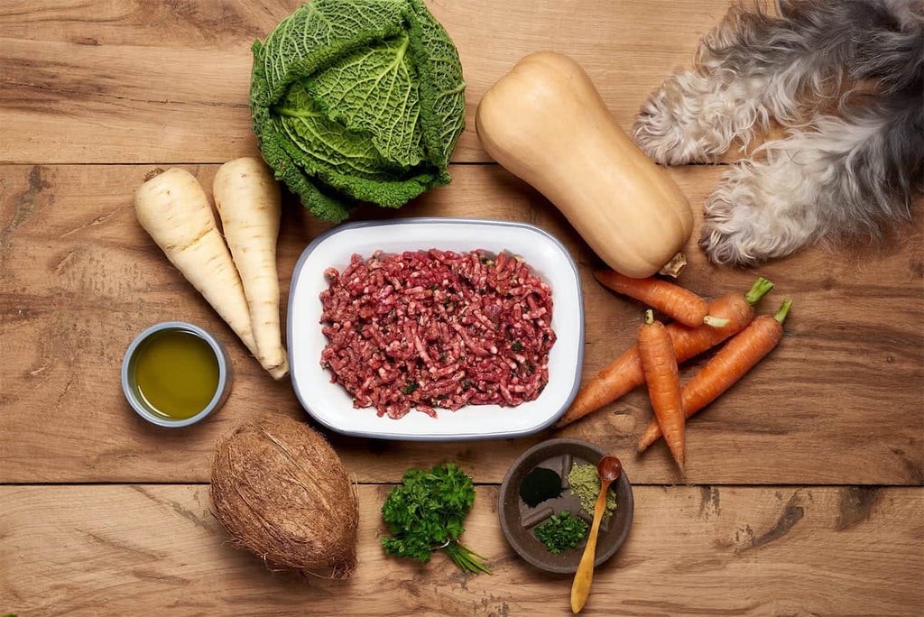 Debunking Myths About Raw Dog Food