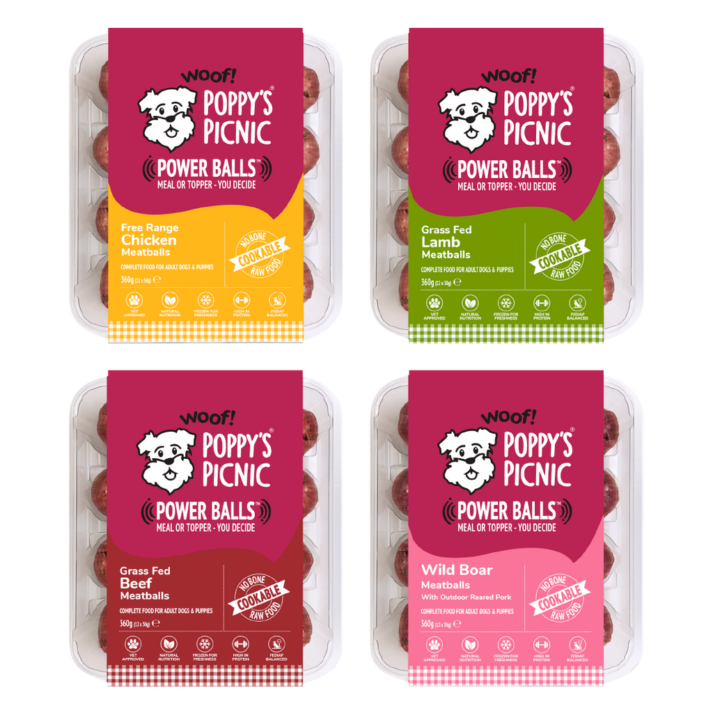 Protein-Rich Meatballs for Dogs: A Raw Food Revolution