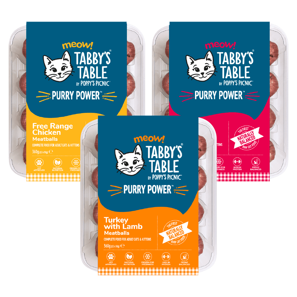 Gourmet Raw Meatballs for Cats: Nutritional Powerhouses