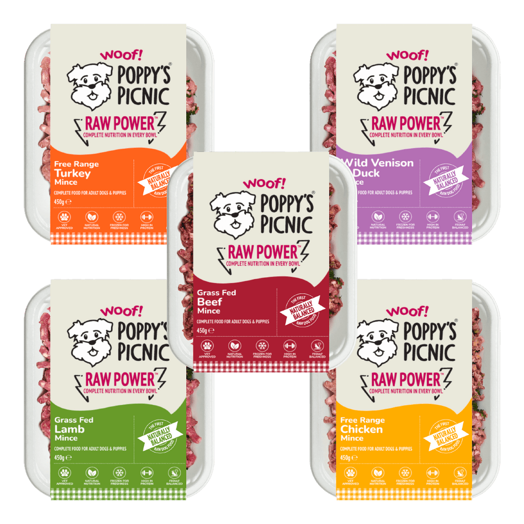Diverse RAW POWER Meals for Dogs
