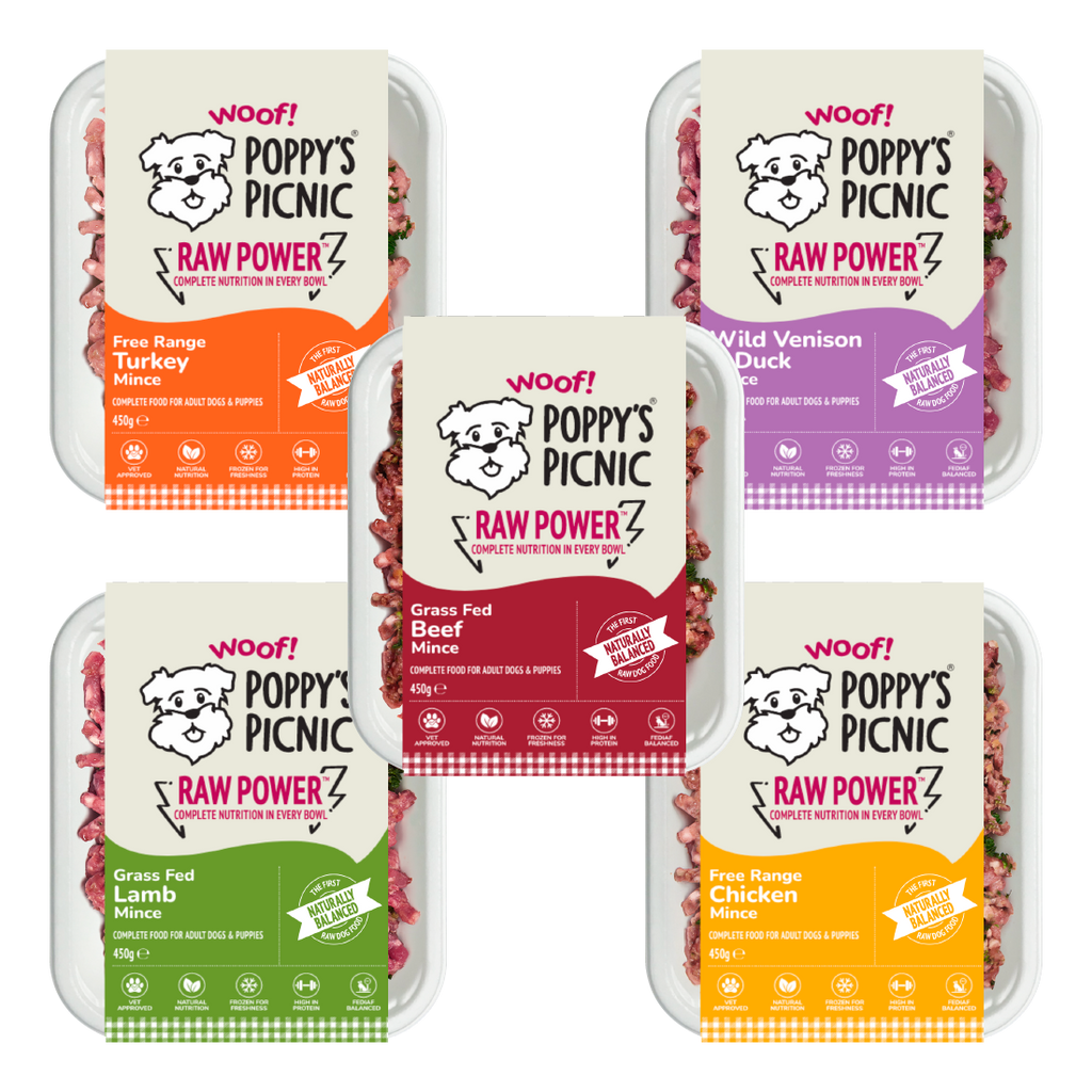Nutritious Raw Mince Options for Health-Conscious Dogs