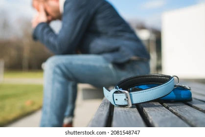 My Dog Has Died – What Should I Do?