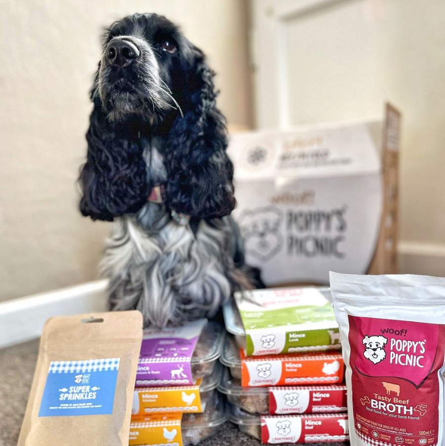 Raw Feeding: Tailored Nutrition for Every Dog Breed