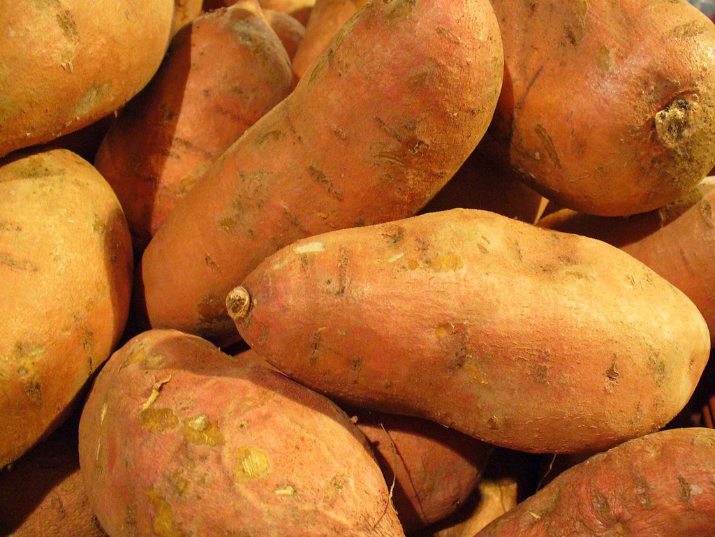 Why we use sweet potatoes in all of our recipes at Poppy's Picnic