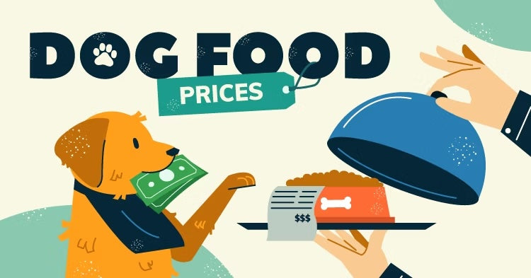 Is Raw Dog Food Food Expensive? Let’s Break It Down.