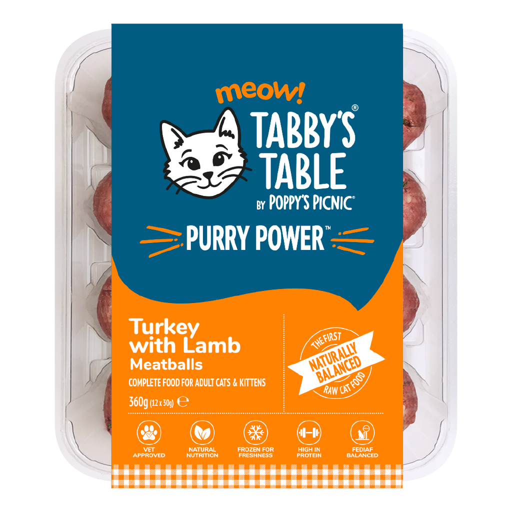 Raw Food for Cats - Turkey Meatballs