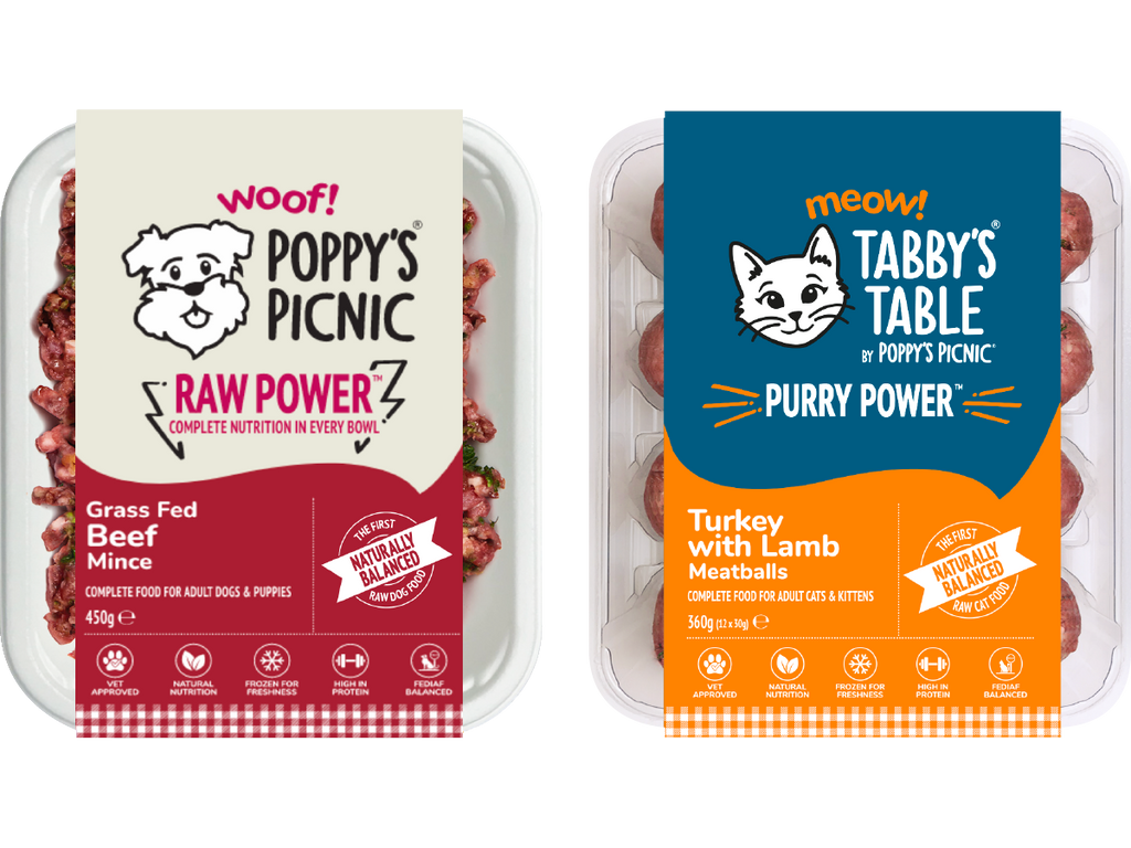 All Our Dog & Cat Food