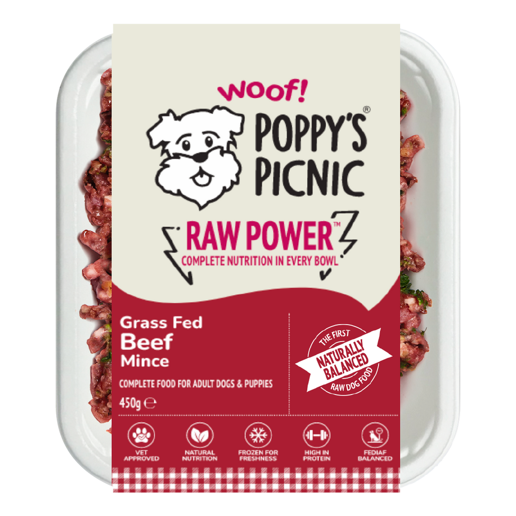 Raw Dog Food