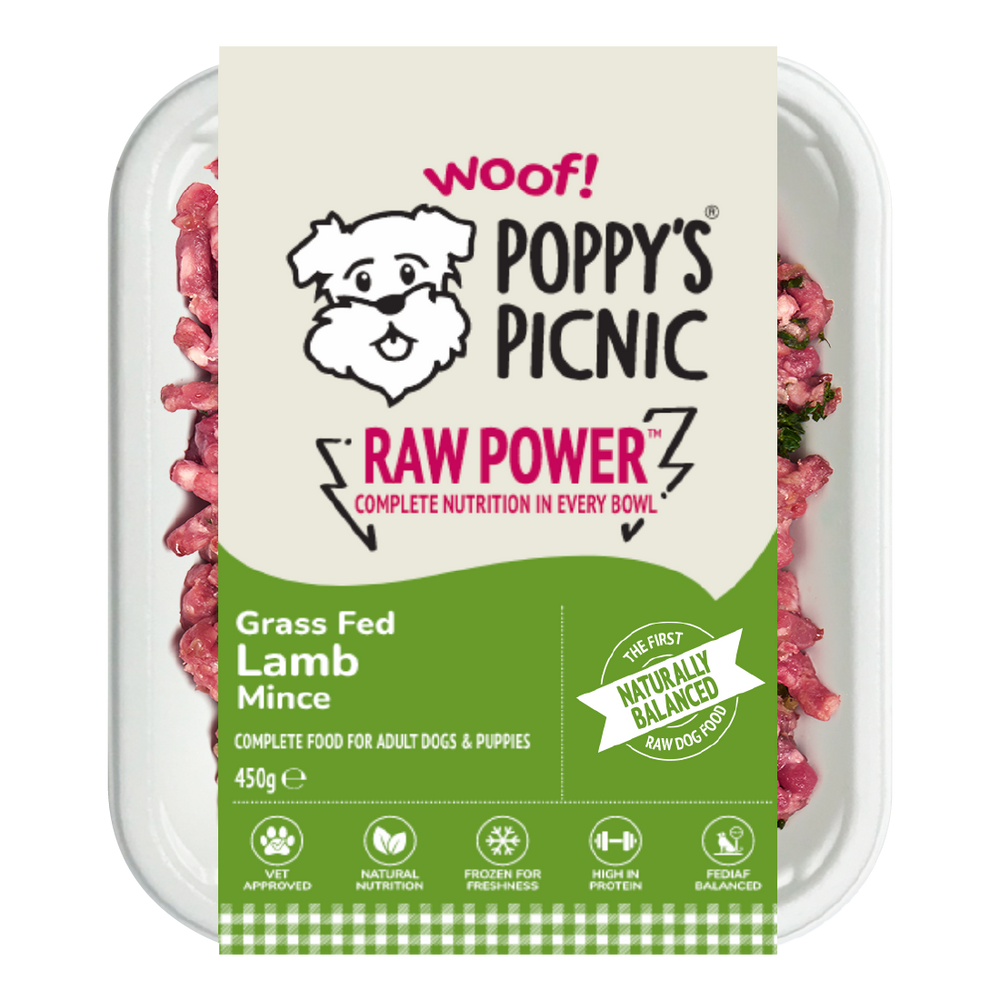 All Raw Dog Food
