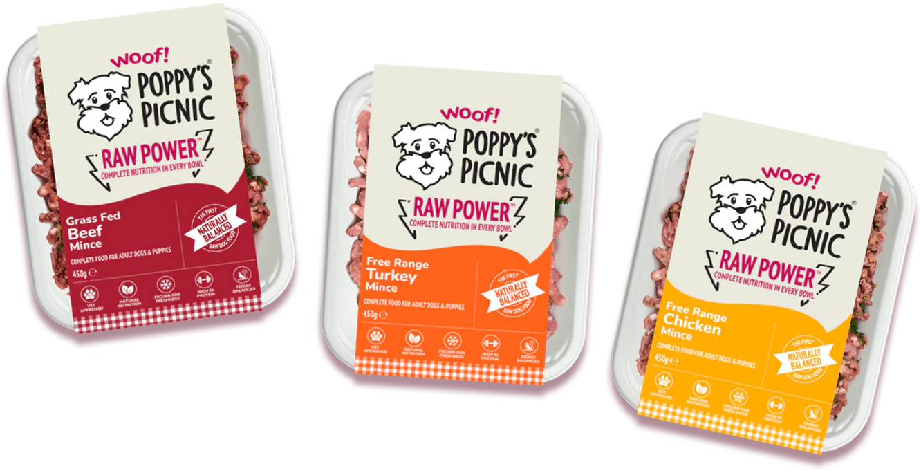 Hero_Packaging.png__PID:c6f87679-4611-44b6-a7e8-e745a29cde35