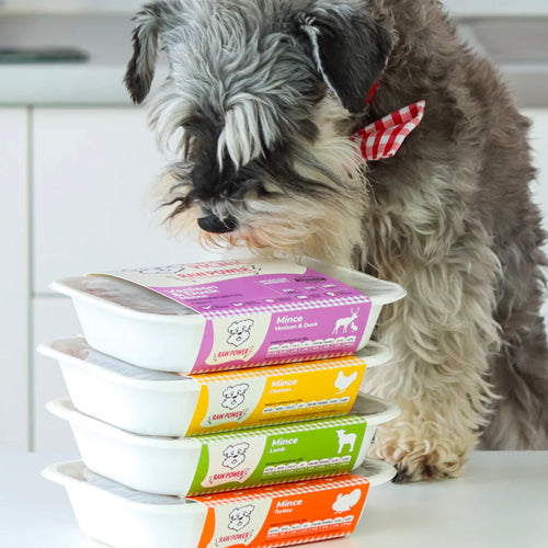 ethics-dog-with-raw-power-trays.jpg__PID:a5847af1-2957-4dc6-85b5-e881760b4247