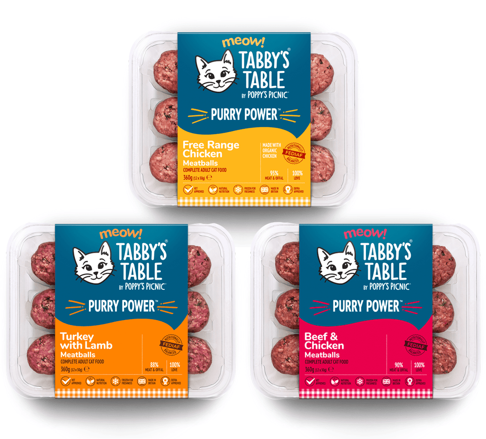 Delicious Raw Feeding Meatballs Mixed Selection Pack For Cats