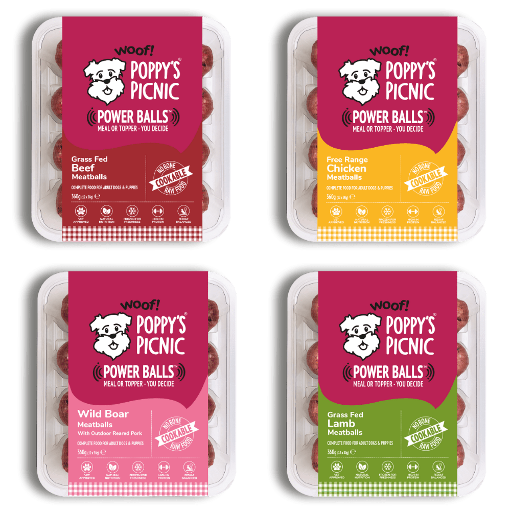 POWER BALLS Delicious Raw Feeding Selection Pack For Dogs